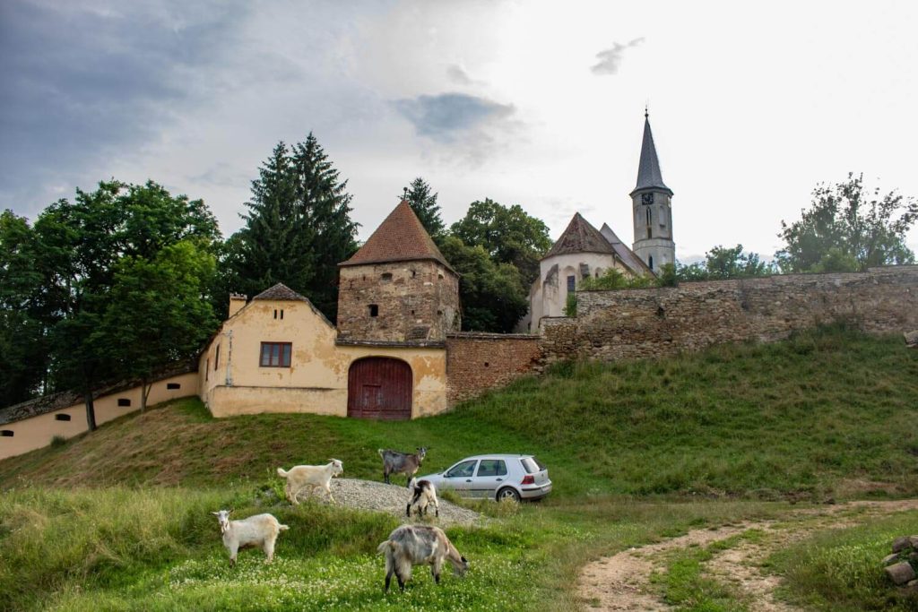 Fortified Church of Alțâna