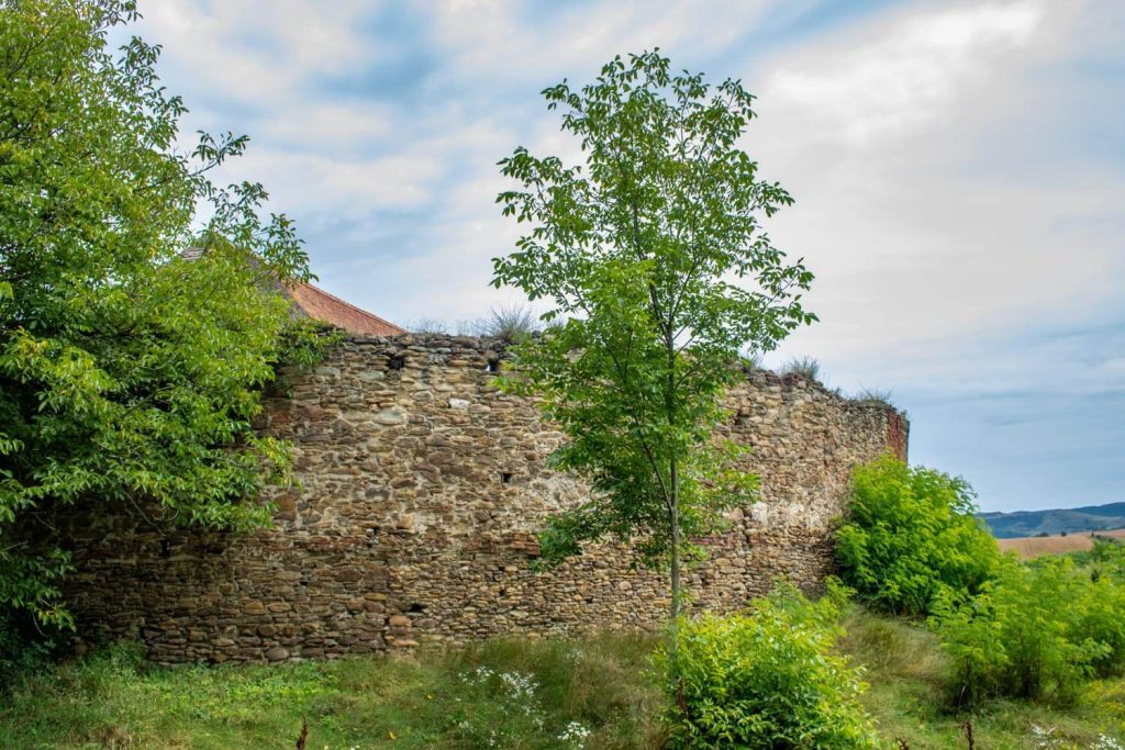 Fortified Church of Țapu