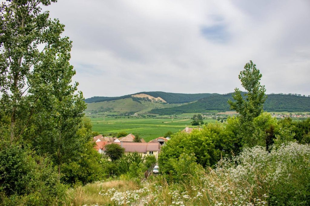 Fortified Church of Țapu