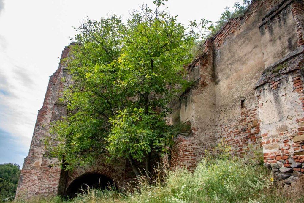 Slimnic Fortress Slimnic Fortress