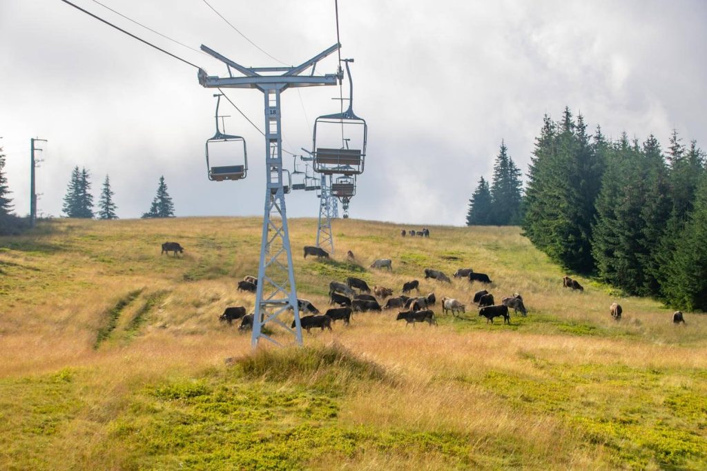 Horses Waterfall Chairlift