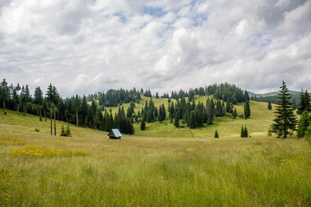 apuseni natural park 14 1024x683