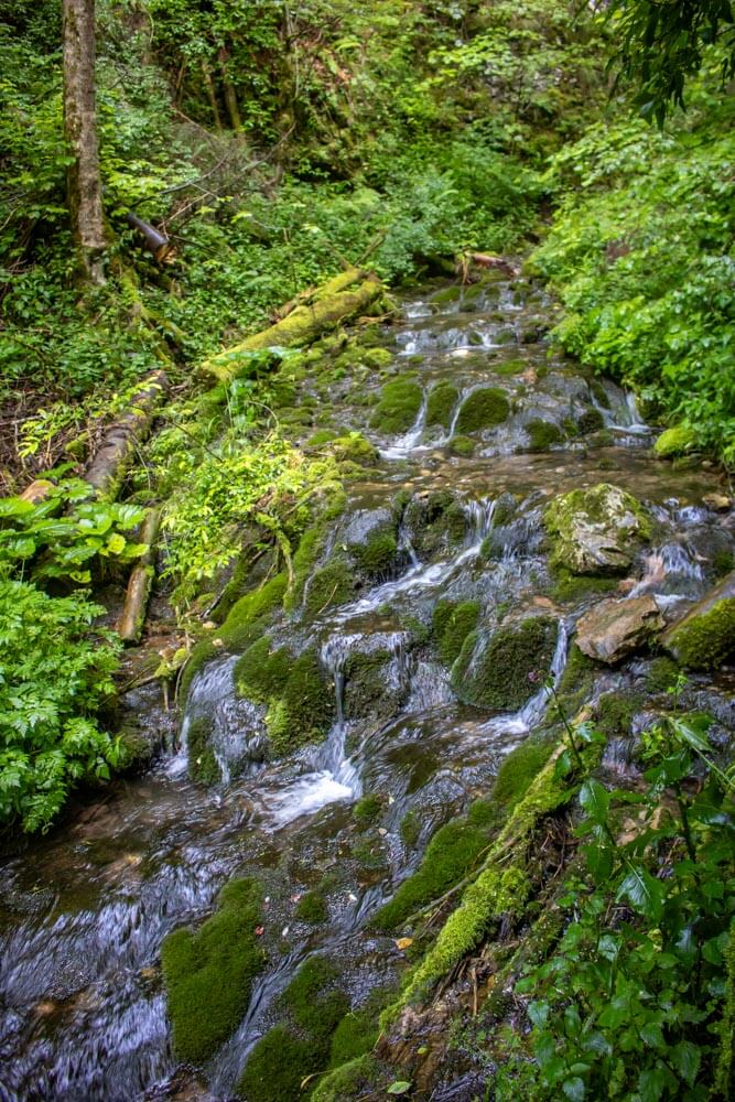 apuseni natural park 22