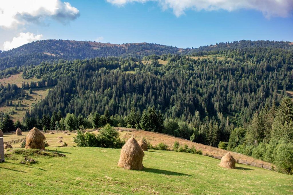 apuseni natural park 24 1024x683