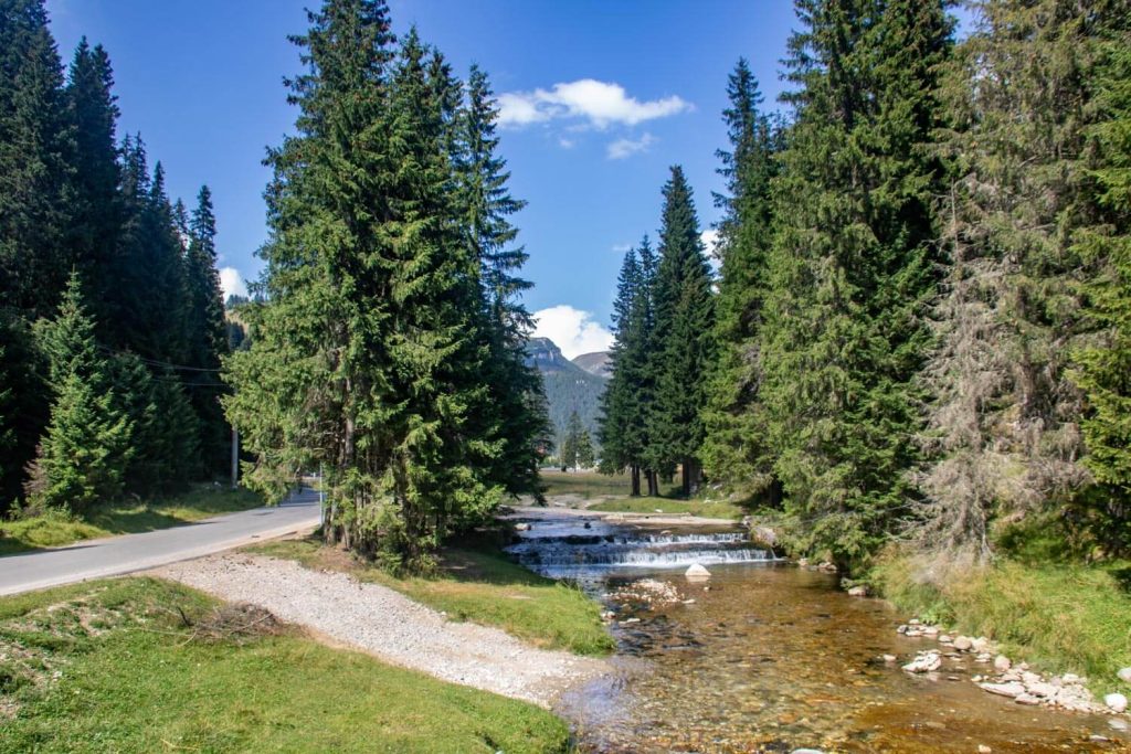 bucegi natural park 12 1024x683