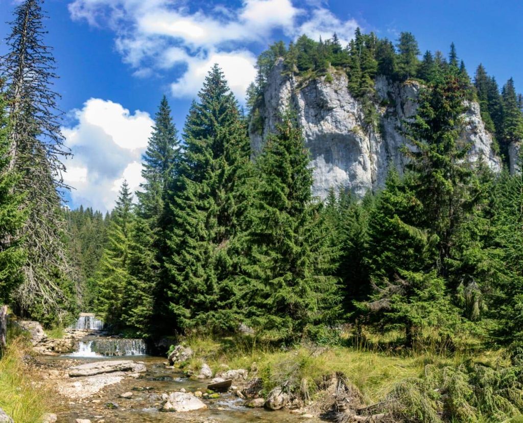 bucegi natural park 24 1024x828