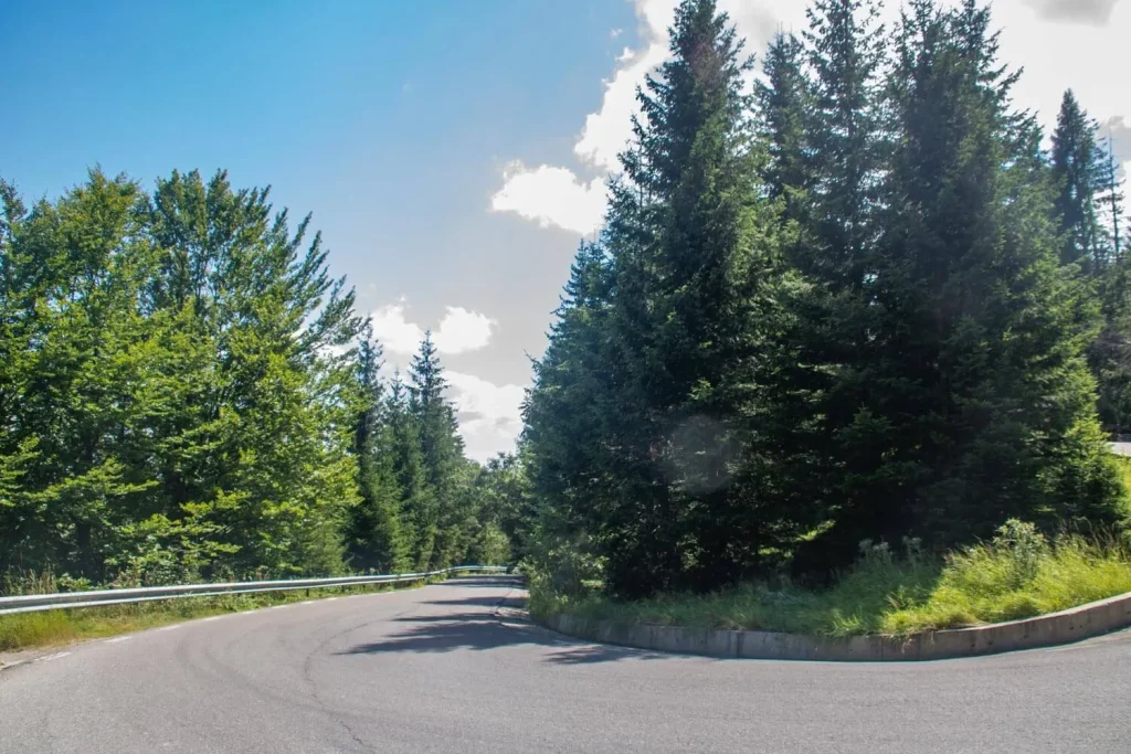 bucegi natural park 3 1024x683