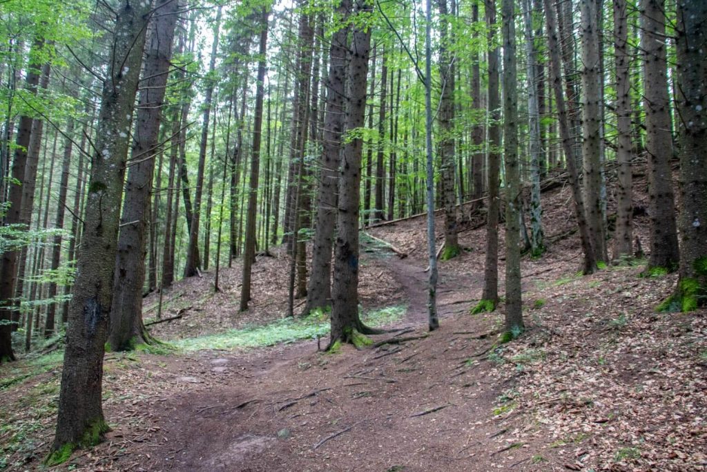 ceahlau national park 2 1024x683
