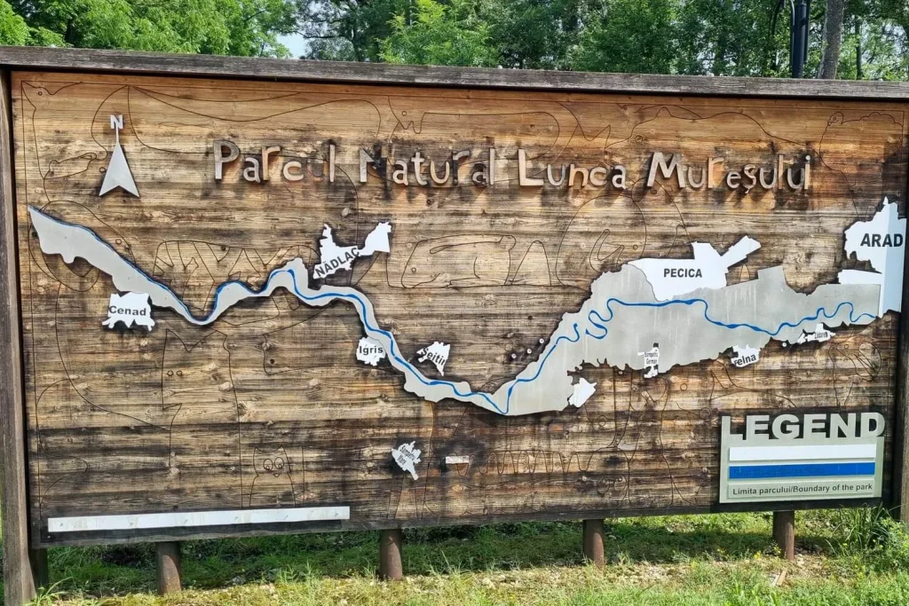 ceala visitor center mures floodplain natural park arad 2 1024x683