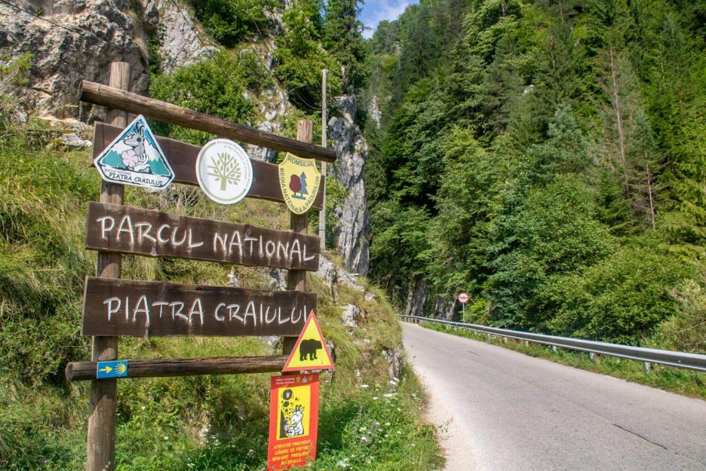 dambovicioara gorge piatra craiului national park 2 1 1024x683