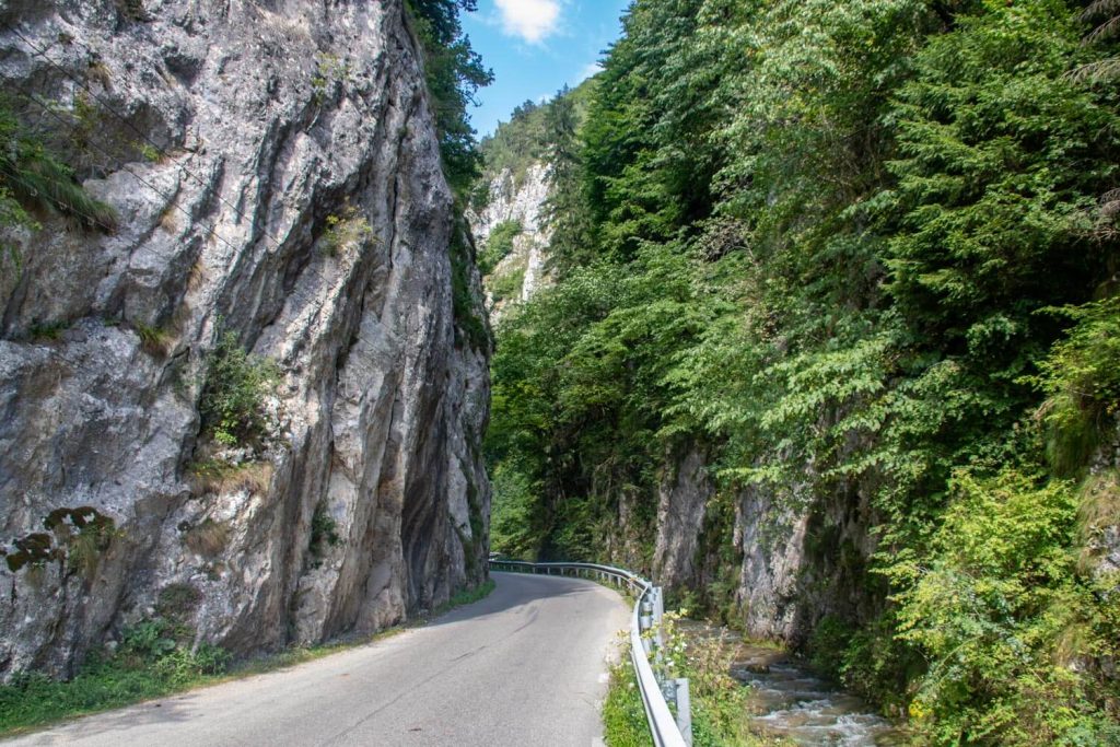 dambovicioara gorge piatra craiului national park 3 1 1024x683