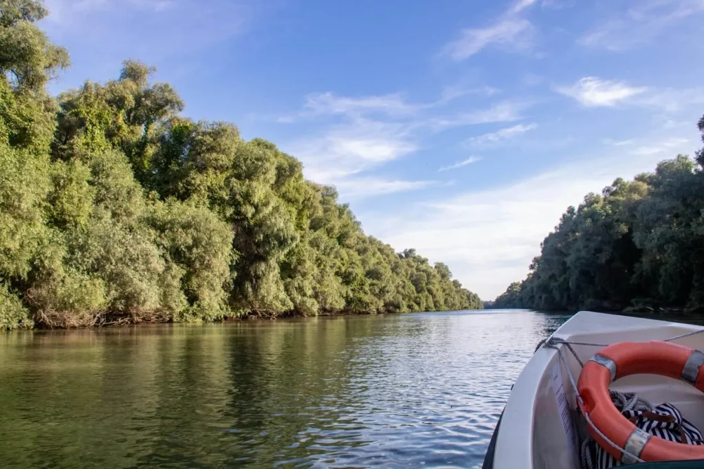 danube delta 4 1024x683