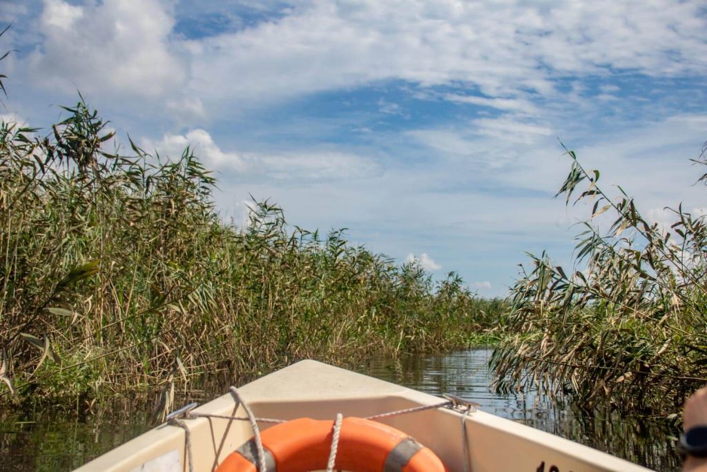 danube delta 69 1024x683