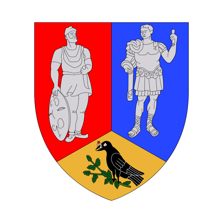 Emblem of Hunedoara County