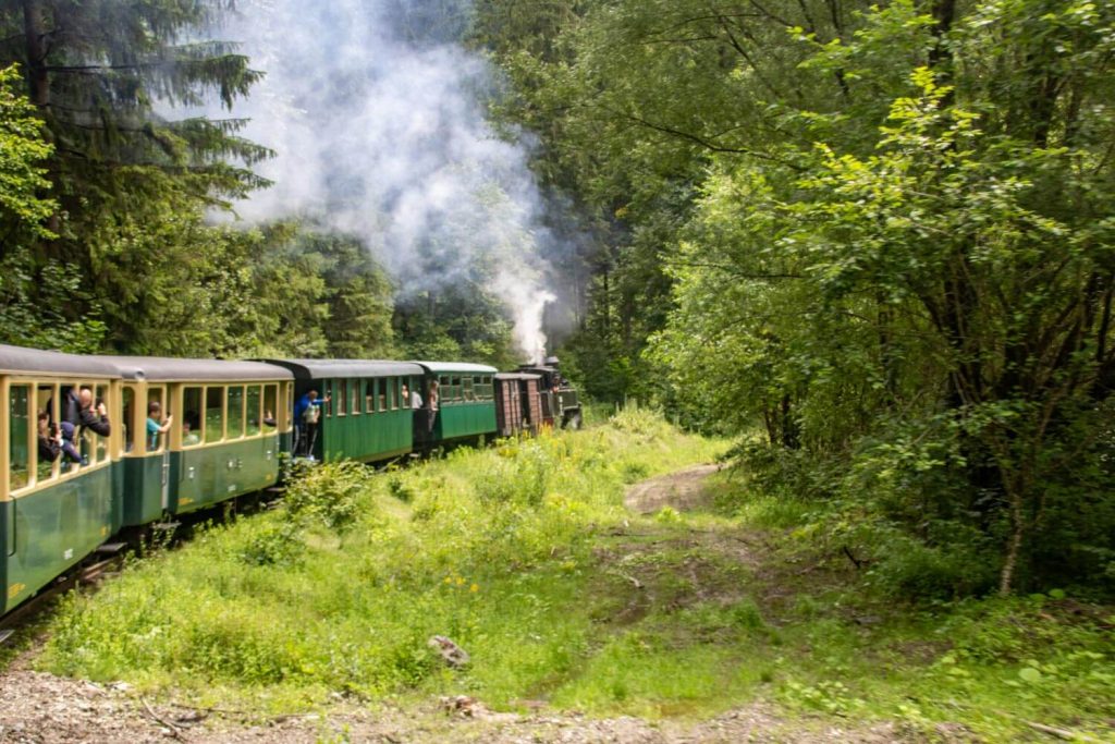 mocanita maramures viseu de sus 37 1024x683