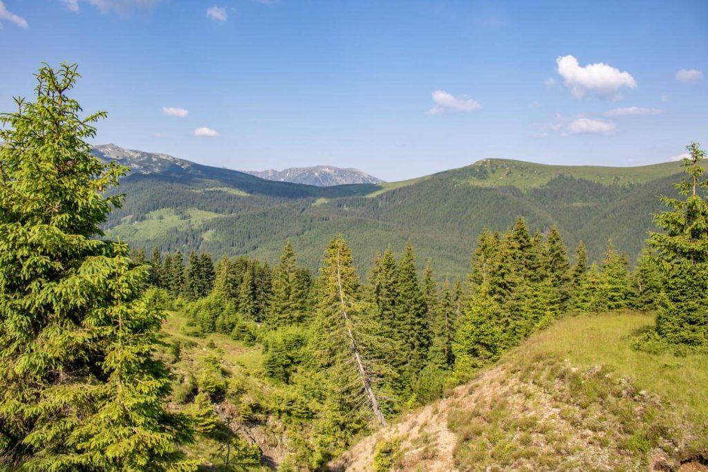 transalpina valcea 16 1024x683